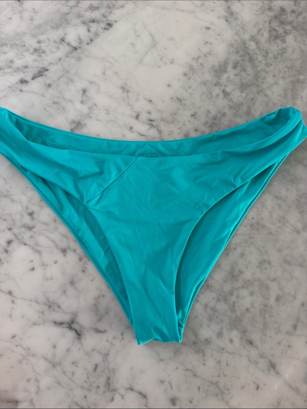 Vetchy Turquoise Bikini Bottoms